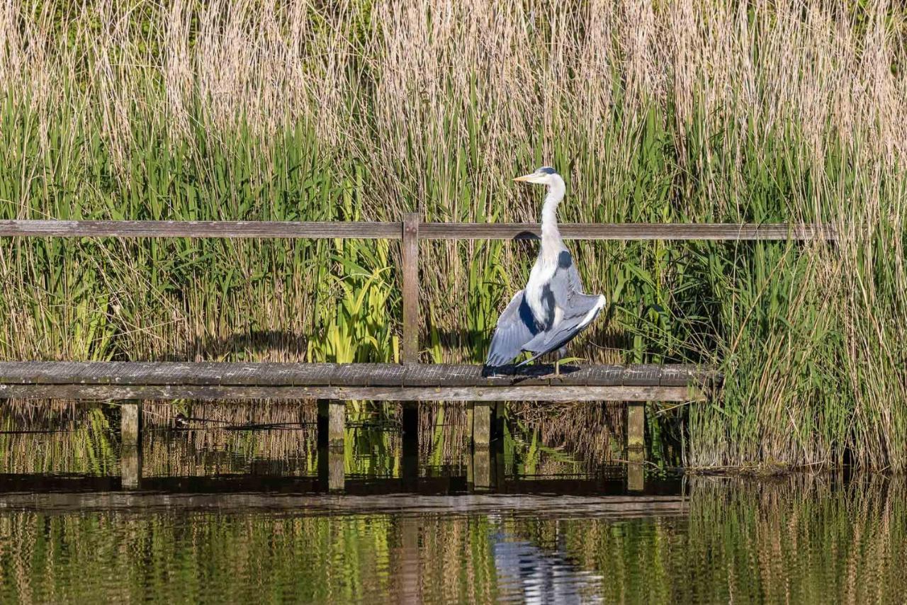 De Heerlijkheid Hensbroek Villa Luaran gambar